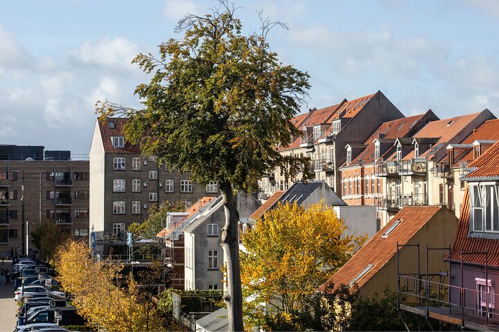 Aarhus Private Custom Walking Tour With A Guide
