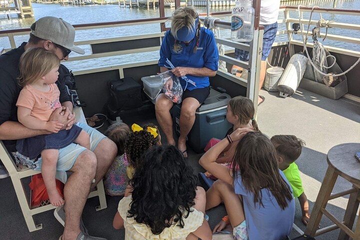 Cocoa Beach Dolphin and Wildlife Tour