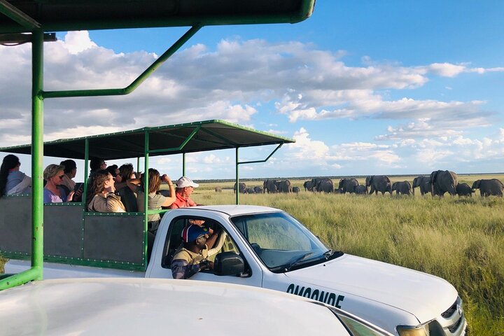 Safari in Etosha national park with professional tour guides born in Etosha.