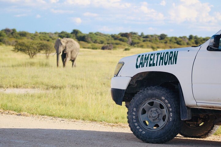 Safari in Etosha national park with professional tour guides born in Etosha.
