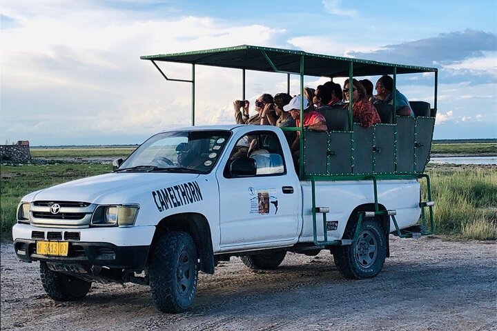 Safari in Etosha national park with professional tour guides born in Etosha.