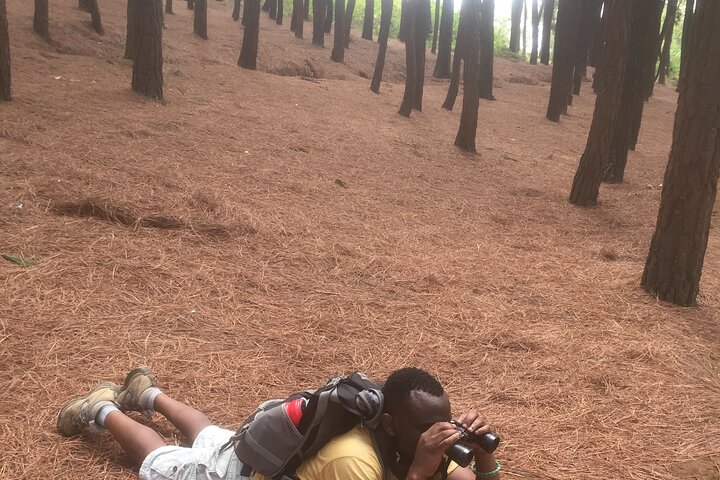 Mount Kigali Hike and Zipline Adventure Tour(Pick up &drop off)