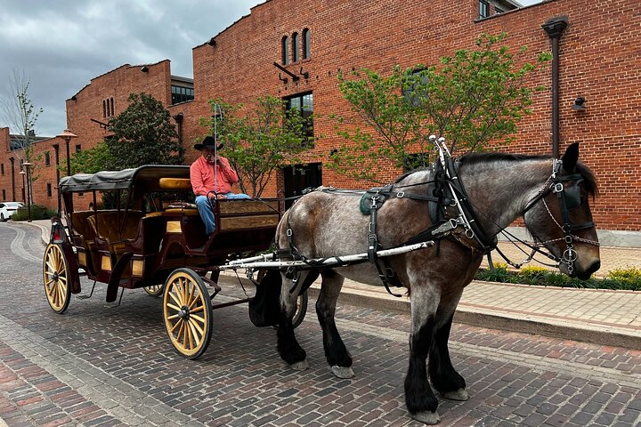 Fort Worth Highlights Tour