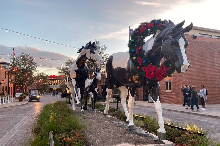 Fort Worth Highlights Tour