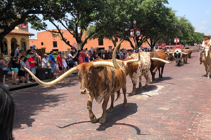 Fort Worth Highlights Tour