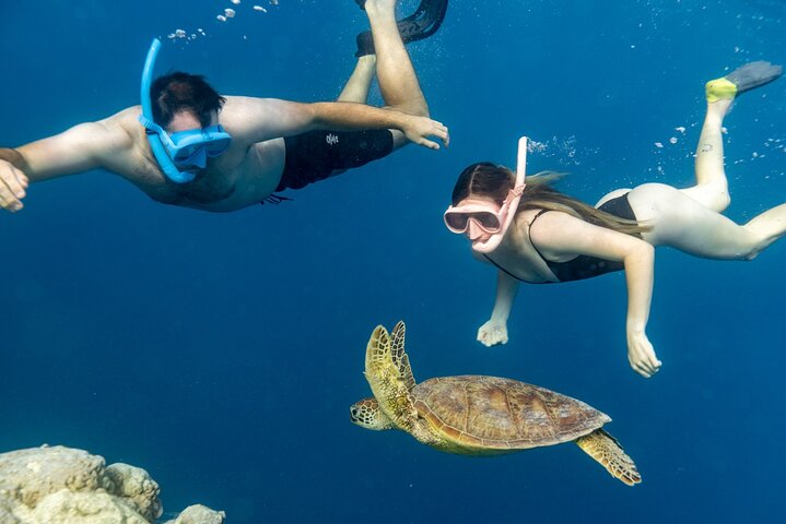 Private Turtle and Ray Tour Rarotonga