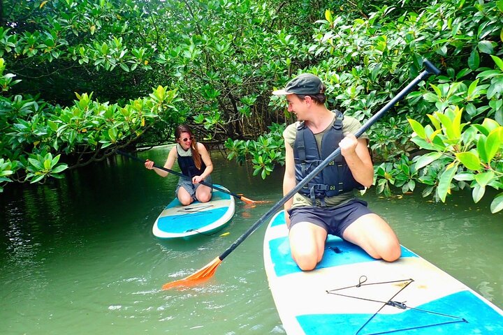 Ishigaki Mangrove SUP or Canoe + Blue Cave Snorkeling