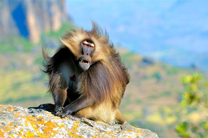 4 Days Tour to North Part of Ethiopia