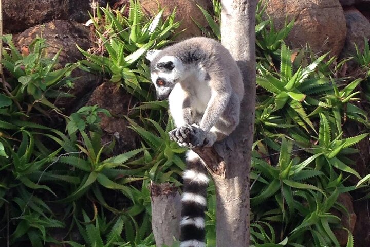 Full Day Private Tour in Antananarivo
