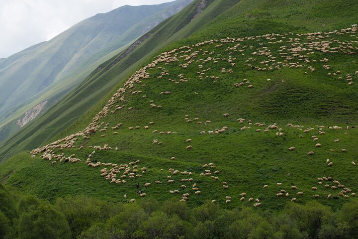 Kazbegi - One Day Private Trekking Tour to Truso Valley