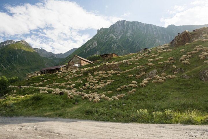 Kazbegi - One Day Private Trekking Tour to Truso Valley