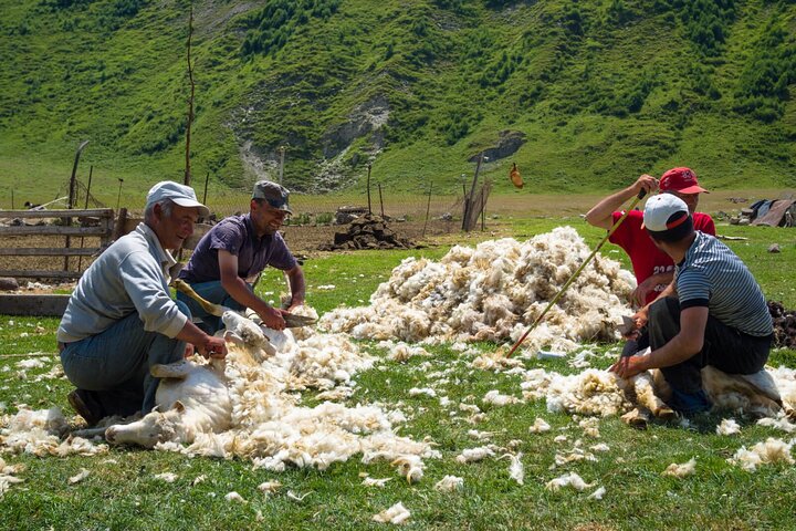 Kazbegi - One Day Private Trekking Tour to Truso Valley