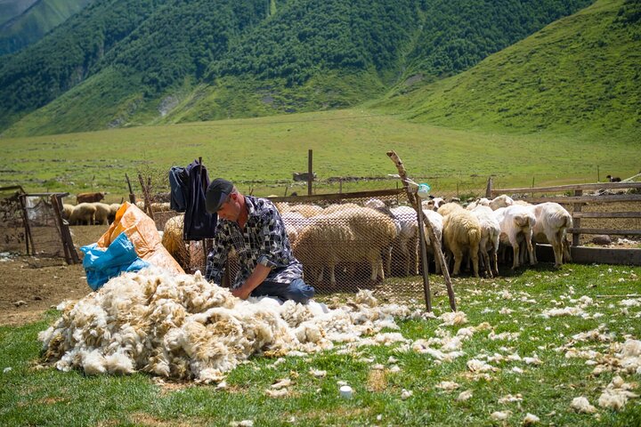 Kazbegi - One Day Private Trekking Tour to Truso Valley