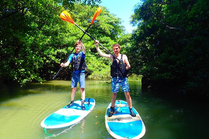 Ishigaki Mangrove SUP or Canoe + Blue Cave Snorkeling
