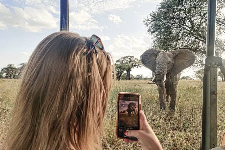2 days Tarangire and Ngorongoro Group safari