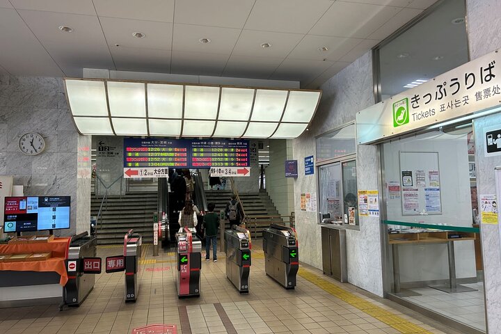 Beppu: Half Day HELL Sightseeing Private Guide Tour