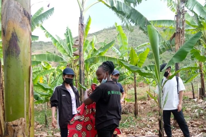 Rwanda Local Community Tour(Coffee, Cultural Village, Local food)