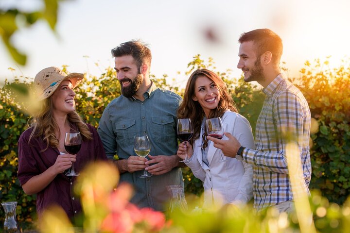 Santillana Uncorked Wine Tasting: A private Adventure