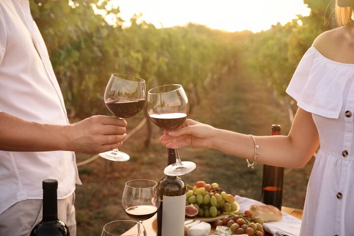 Santillana Uncorked Wine Tasting: A private Adventure