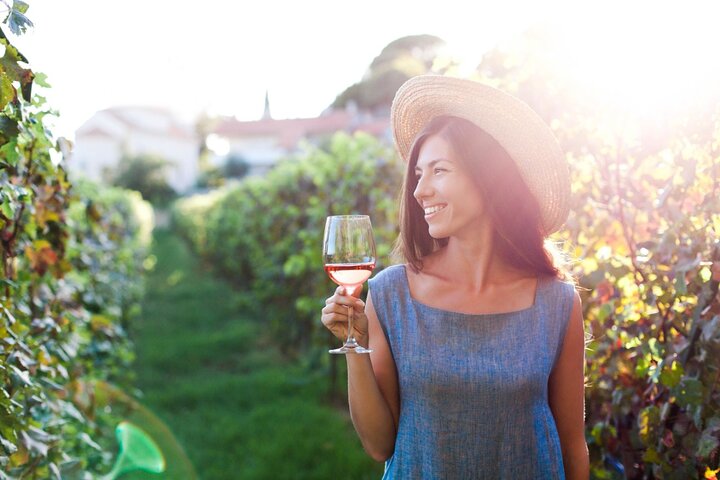 Santillana Uncorked Wine Tasting: A private Adventure