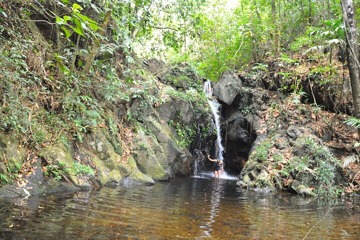Placencia Jungle Hike and Waterfalls at Cockscomb Jaguar Preserve
