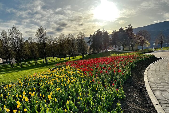 Kelowna: #1 Rated Walking Food Tour with 7 Tastings and 4 Drinks