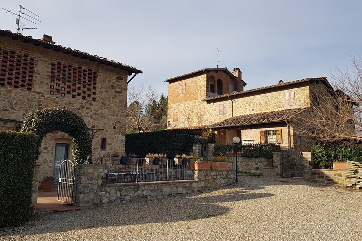 Homemade Pasta Class and Lunch in the Heart of Chianti