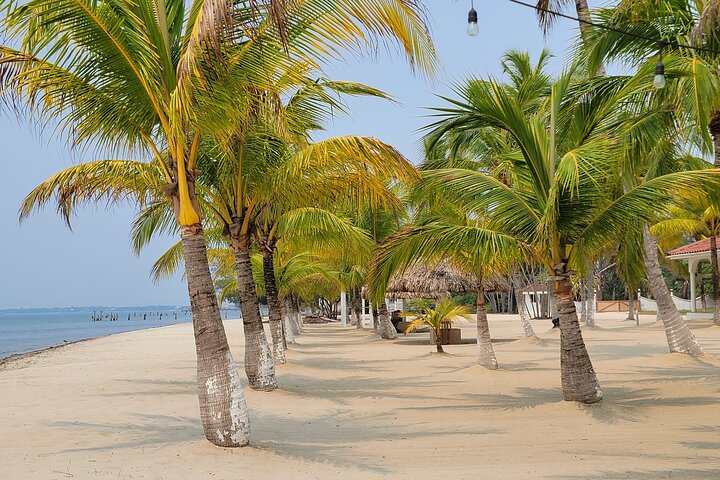 Transfer from Placencia to Belize Airport BZE and Belize City
