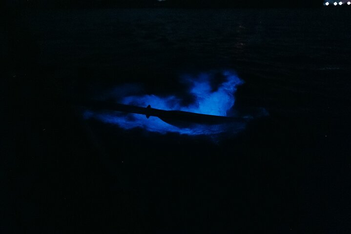 Thousand Islands Bioluminescent Kayak Tour with Cocoa Kayaking!