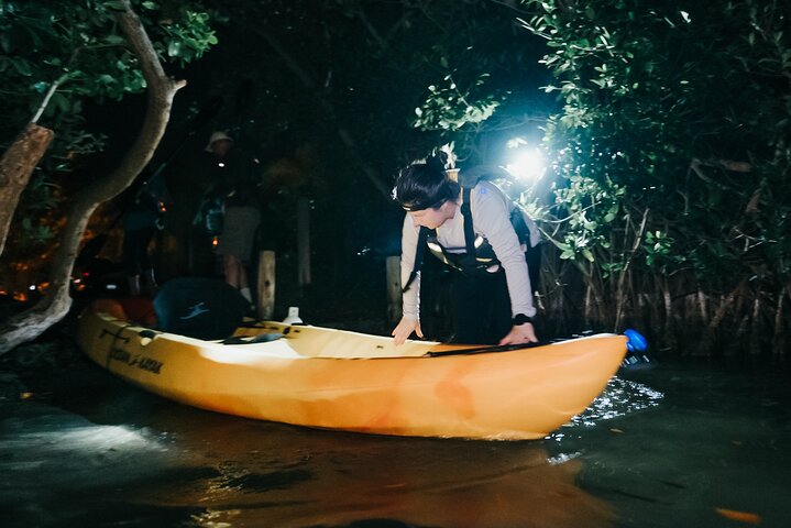 Thousand Islands Bioluminescent Kayak Tour with Cocoa Kayaking!