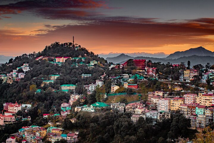 Shimla : Private Custom Tour with a Local Guide