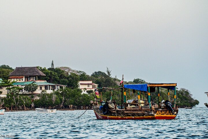 Full Day Dolphin Watching with Snorkeling in Wasini