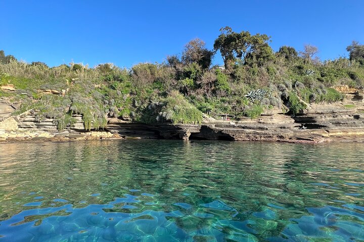 5h Day boat tour to discover Procida and/or Ischia Private