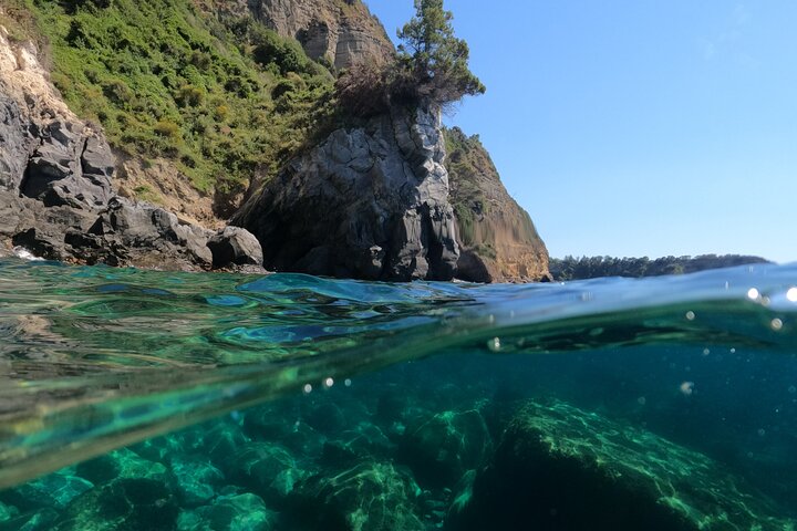 5h Day boat tour to discover Procida and/or Ischia Private
