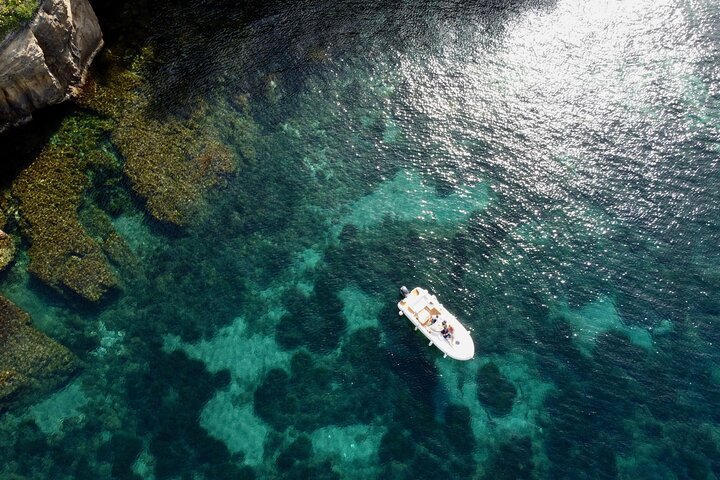 5h Day boat tour to discover Procida and/or Ischia Private