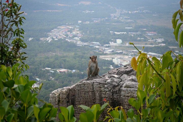 Trekking Tien Son Dinh Phu Quoc