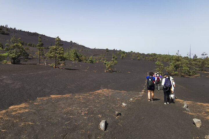 Full Day Tour with Hiking to the Tajogaite Volcano