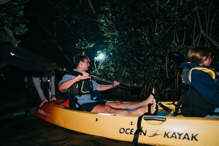 Thousand Islands Bioluminescent Kayak Tour with Cocoa Kayaking!