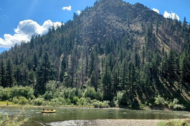 Gentle Whitewater Float on the Salmon River