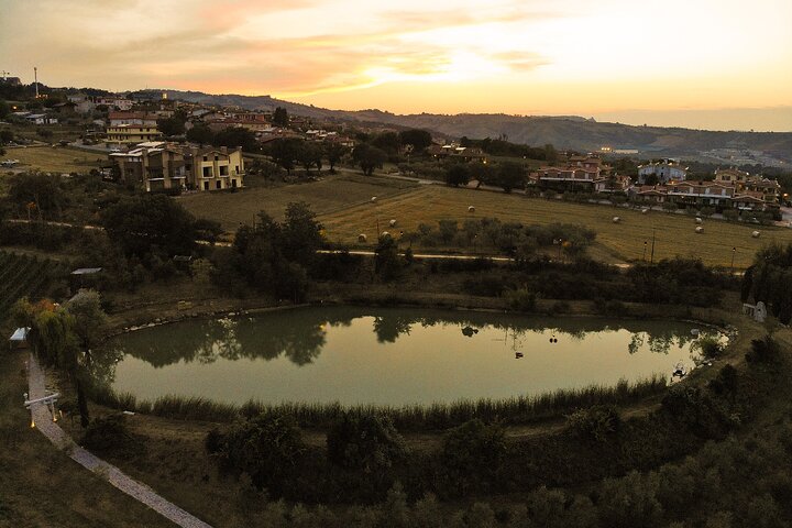 Cook Like a Local in San Marino Countryside