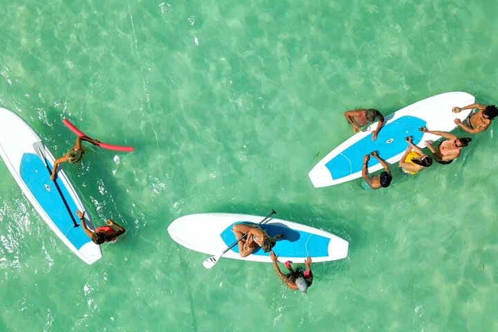 All-Inclusive Sandbar Safari with Dolphin Playground Encounter