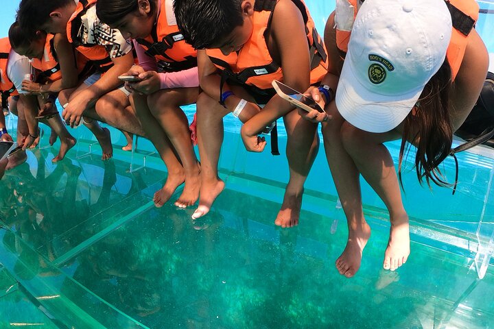 Cabo Clear Boat Tour to the Arch: Hotel Pickup Available
