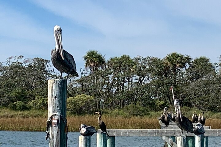 Morris Island Private Excursion