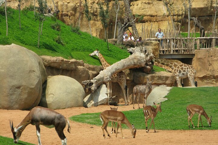 Experience Abuja Tour, All Inclusive