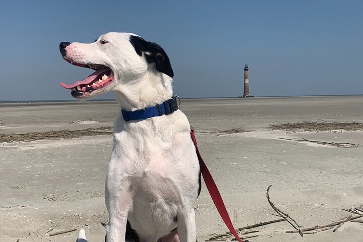 Morris Island Private Excursion