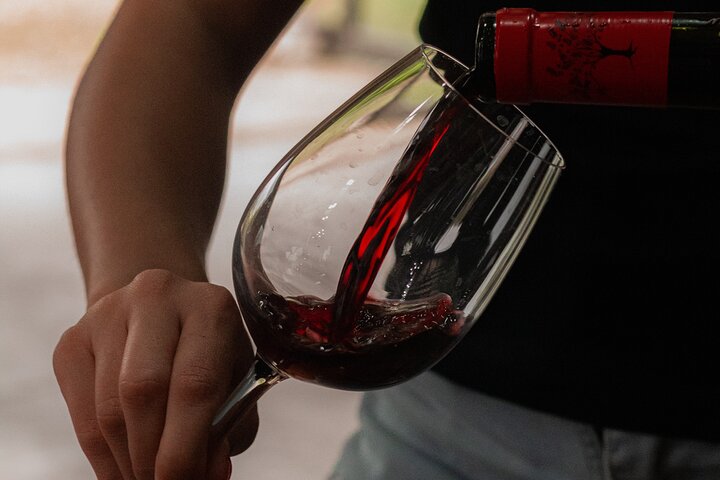 Roast and Empanadas Class with Wine |Mendoza|Braseando Experience