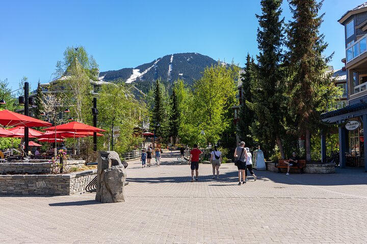 Whistler Tour with Shannon Falls and Sea to Sky Gondola