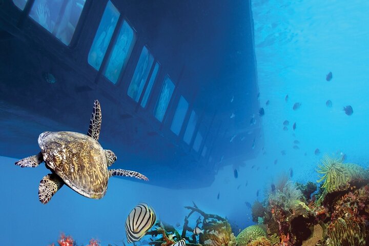 Marsa Alam: Royal Seascope Submarine cruise with pickup