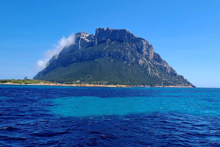 Boat tour to explore the Marine Protected Area of Tavolara