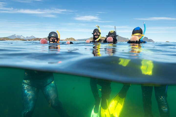 Family Snorkeling Tour